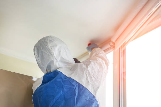 Why You Should Choose Our Mold Remediation Services in Lockland, OH